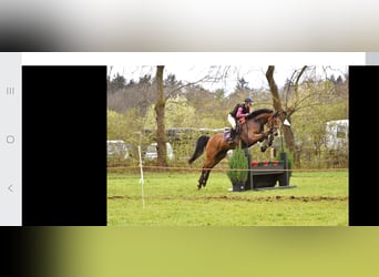 Dicapo (gereserveerd)