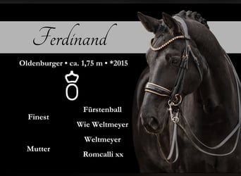 Ferdinand