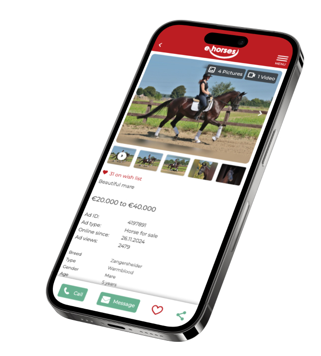 澳洲体彩幸运168全国历史查询记录+幸运五官方网站 ehorses